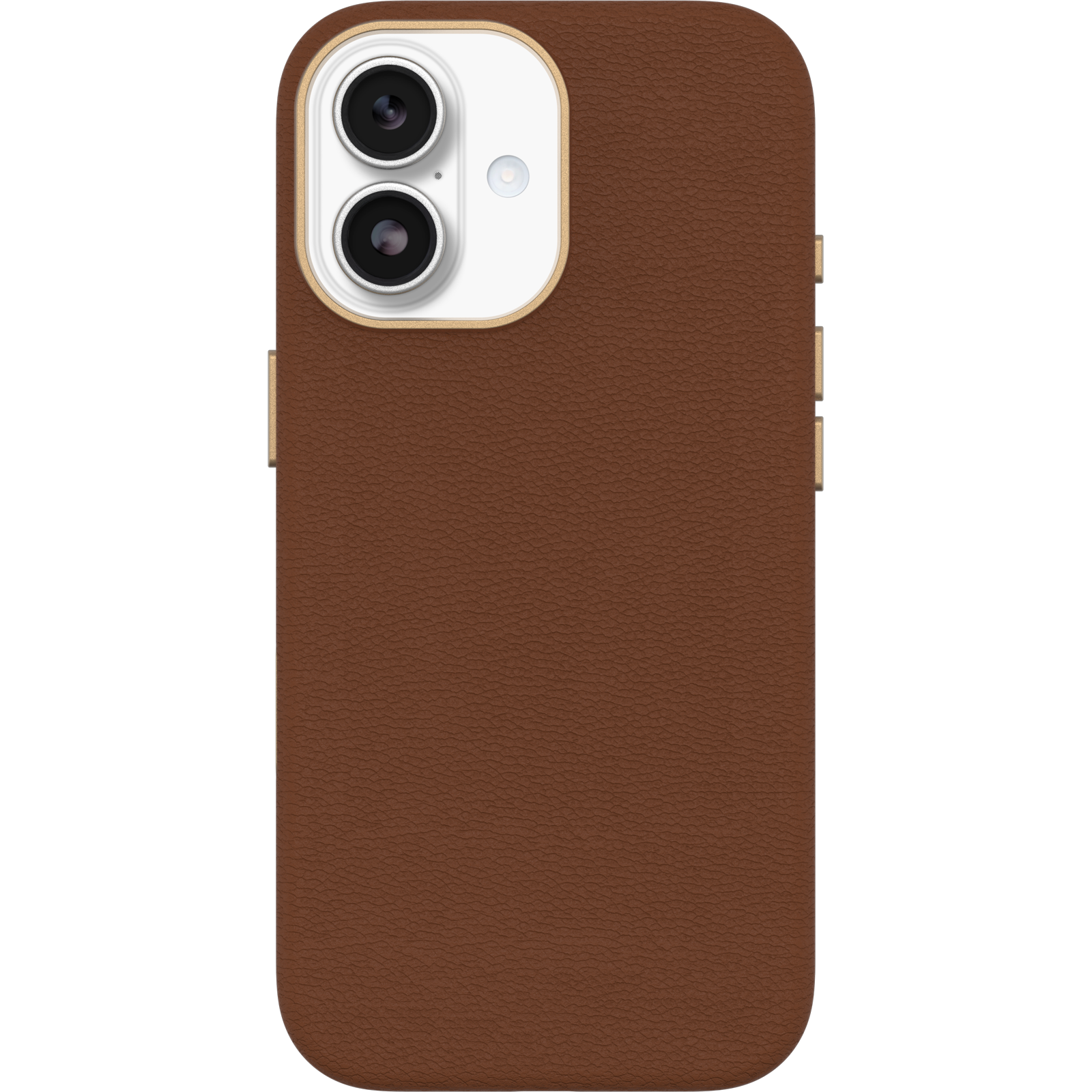 symmetry-cactus-ipha25-desert-saddle-2