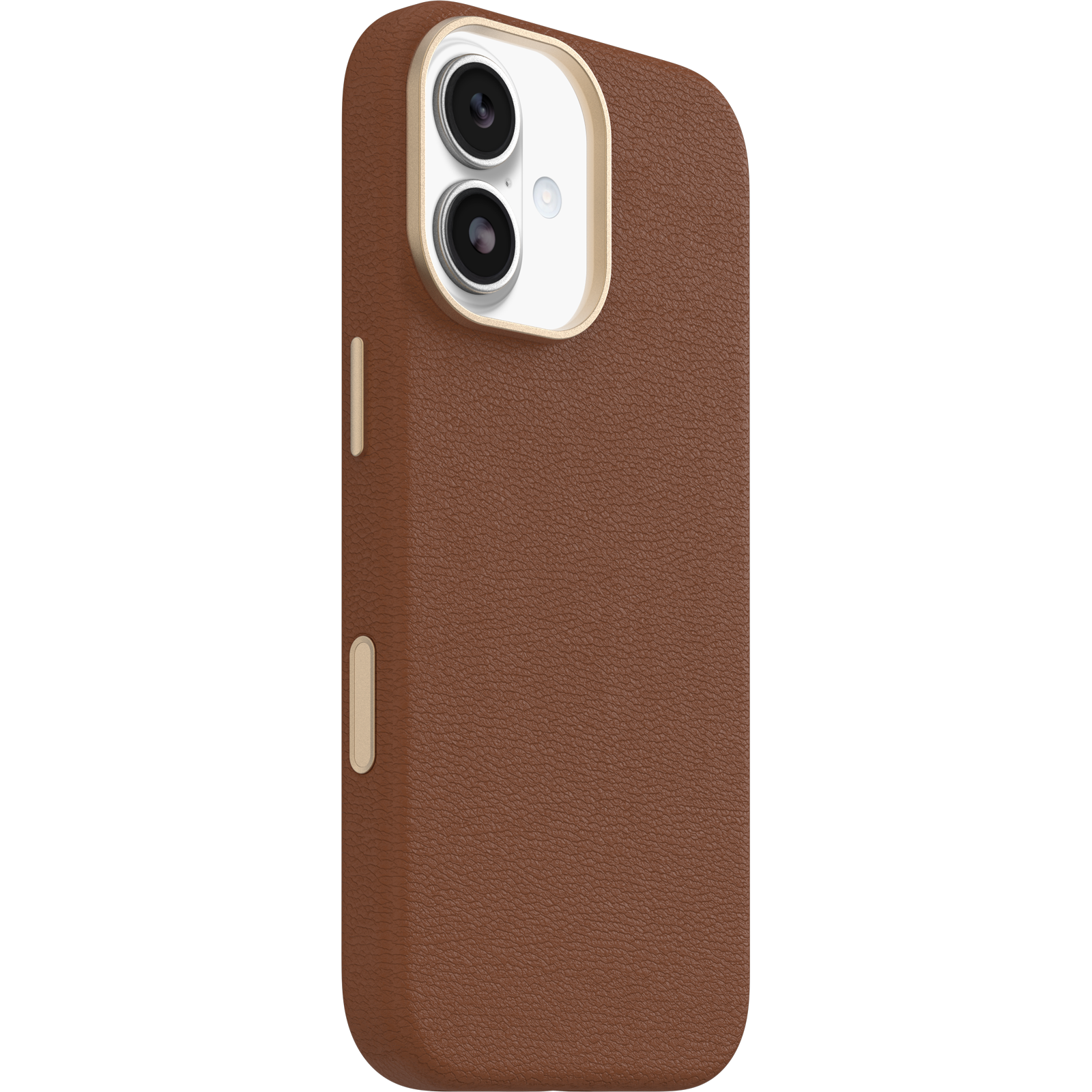 symmetry-cactus-ipha25-desert-saddle-3