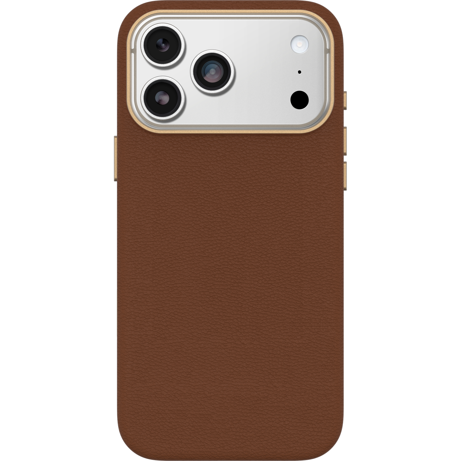 symmetry-cactus-iphd25-desert-saddle-2