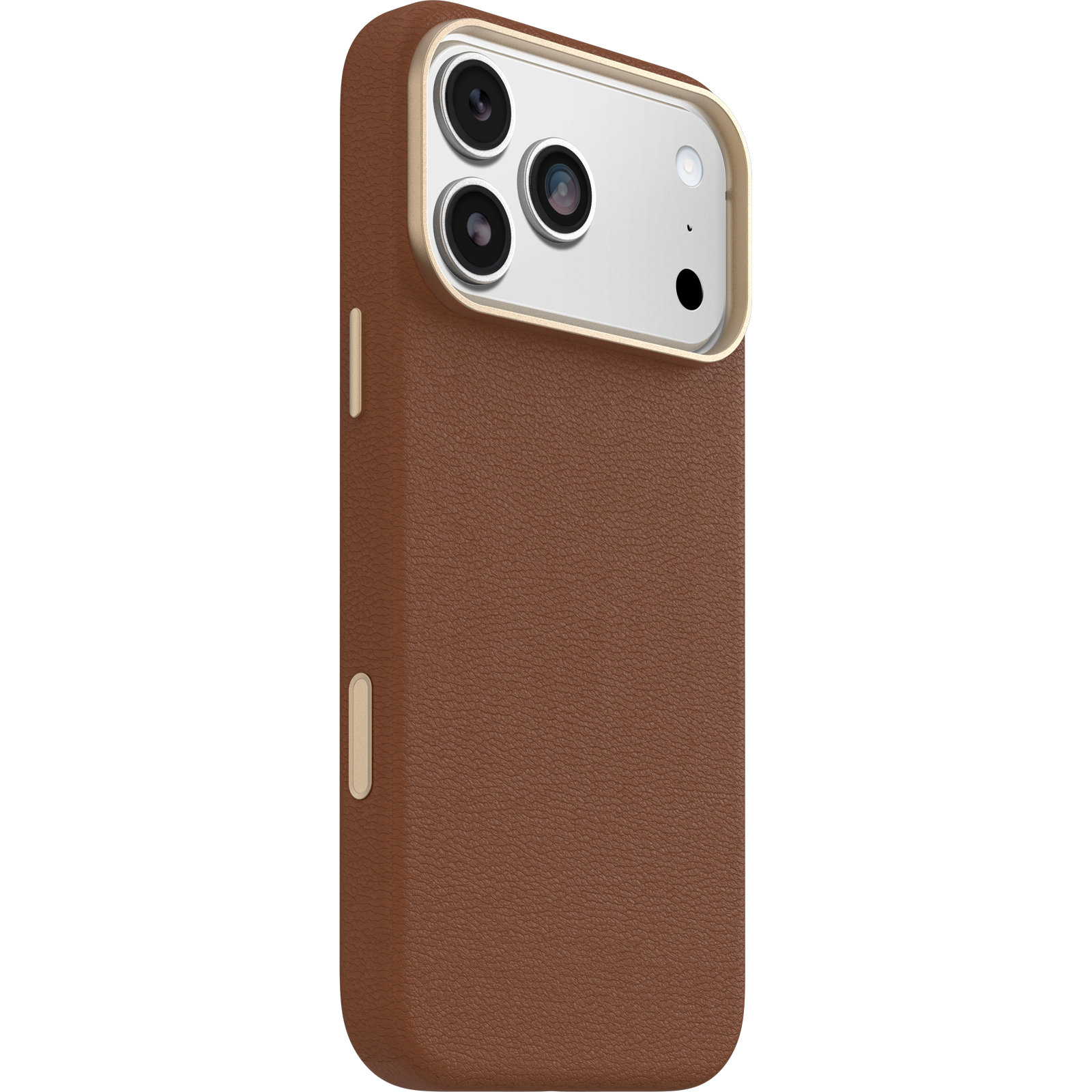 symmetry-cactus-iphd25-desert-saddle-3